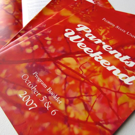 Graphic Design Aneva Designs, LLC