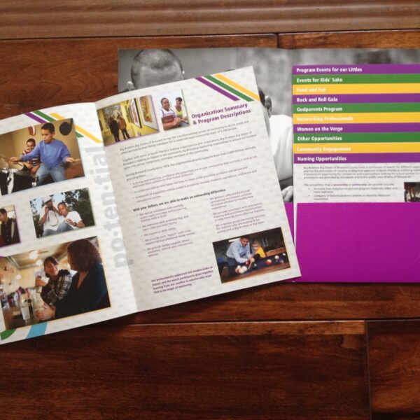 Big Brothers Big Sisters of Broward "Potential" Brochure and information inserts